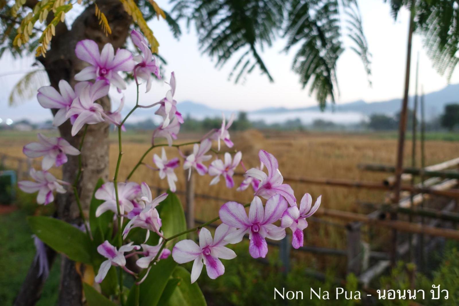 Non Na Pua - นอนนา ปัว酒店 外观 照片